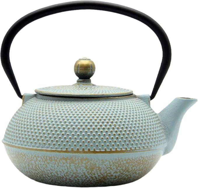 30.4oz Small Cast Iron Teapot, Tea Kettle for Stovetop Safe, Tea Pot with Stainless Steel Infuser for Loose Tea, Japanese Tetsubin Coated with Enameled Interior(900ml) - Bloomnest