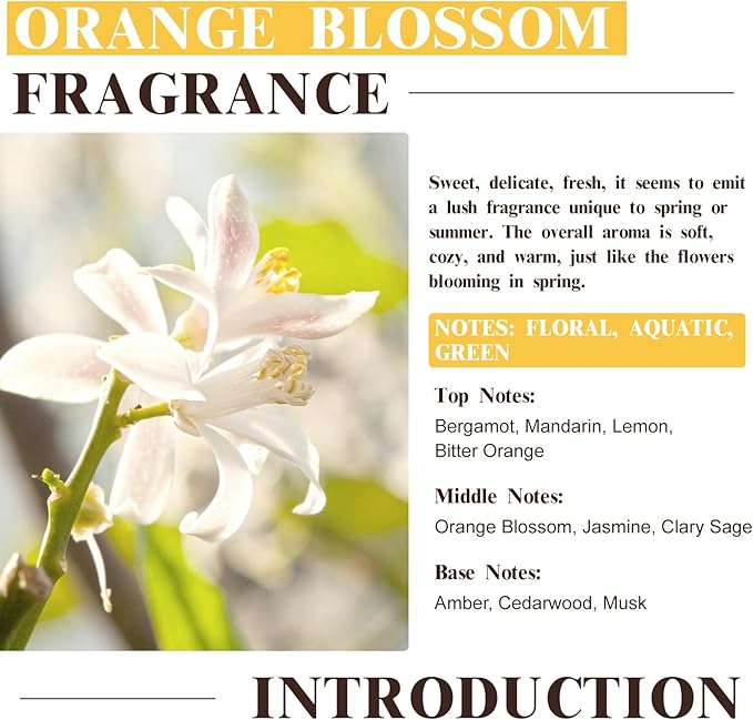 EUQEE Orange Blossom Fragrance Oils, 2.02 Fl oz/60ml Essential Oils with Glass Dropper for Diffusers, Soap Candle Making, Aromatherapy - Bloomnest