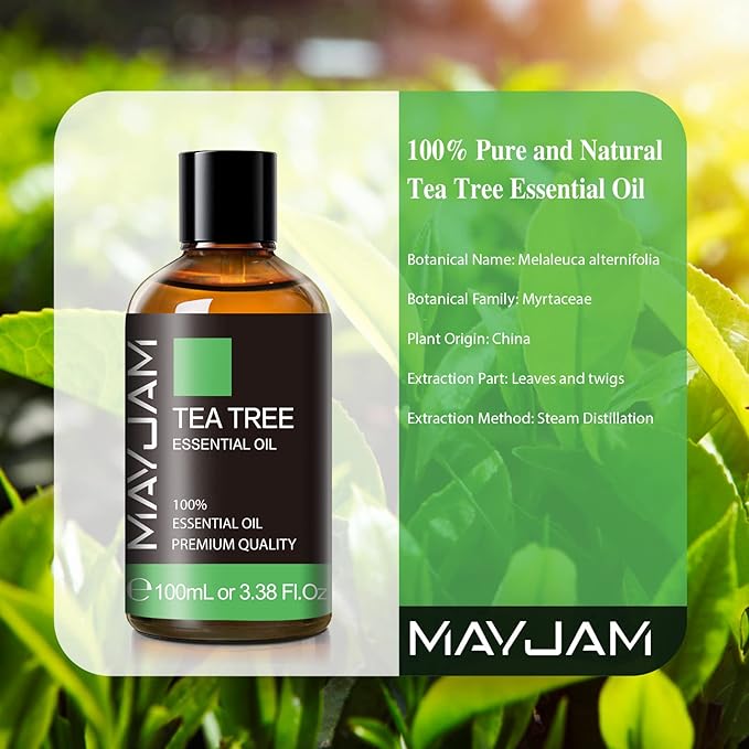 Tea Tree Essential Oil for Diffuser, MAYJAM Pure Essential Oils, Huge 3.38FL.OZ Bottle, Tea Tree Oil with Glass Dropper - Bloomnest