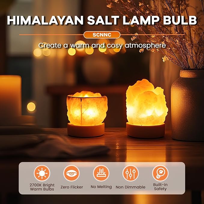 E12 LED Himalayan Salt Lamp Bulbs Night Light Bulbs 2 Watt Equal 25W Small Appliance Light Bulb Microwave Light Bulbs Under Hood 200LM 2700k T22-2 Pack - Bloomnest