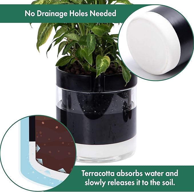 Phoenix Vine 10 Inch Self Watering Terracotta Planter, Black Terracotta Clay Pot with Glass Reservoir for Indoor Plants, Herbs, Flowers, Set of 1, 52-C-I-1 - Bloomnest