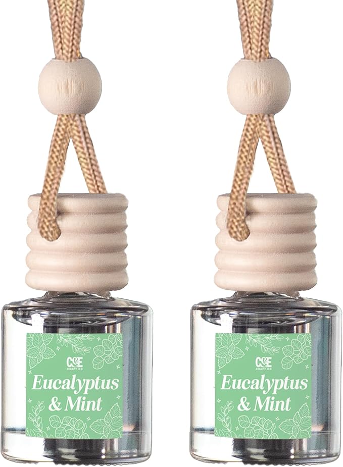 C&E Craft Co Hanging Car Air Freshener Diffuser 2 Pack, Long Lasting Fragrance Oil Car Freshener, Glass Bottle Auto Air Freshener, Made in USA (Eucalyptus & Mint) - Bloomnest
