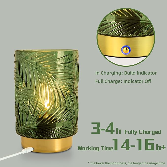 Rechargeable Battery Powered Lamp, Cordless Emergency Lamps for Power Outage, Decorative Small Accent Lamps for Entryway/Stairway/Bathroom/Corner, Dimmable Glass Battery Operated Table Lamp Indoor - Bloomnest