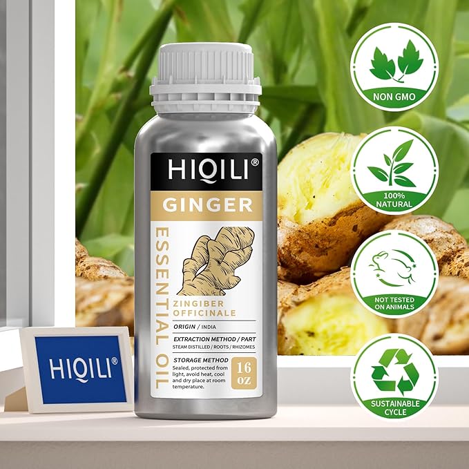 HIQILI 16 Fl Oz Ginger Oil, 100% Pure Natural Ginger Essential Oil for Hair, Massage, Skin - 500ML HIQILI