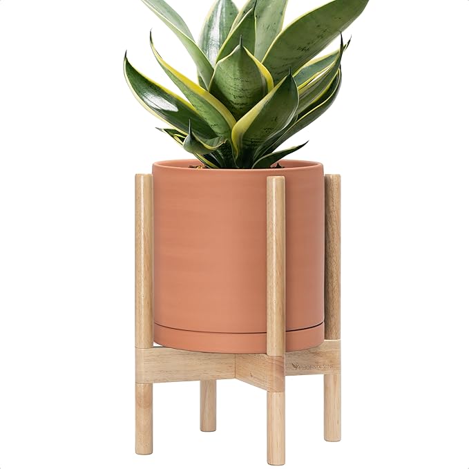 D'vine Dev Terracotta Planter with Natural Stand - 10 Inch Modern Round Flower Pot with Wood Planter Holder, Terracotta, 55-B-K-5 - Bloomnest