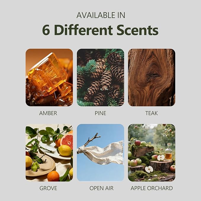 Car Air Freshener, 2-in-1 Stone Car Freshener with Visor Clip & Hanging Scent Diffuser, Natural Scent Stone Diffuser, Long-Lasting Odor Eliminator for Car or Home, Smooth Amber - Bloomnest
