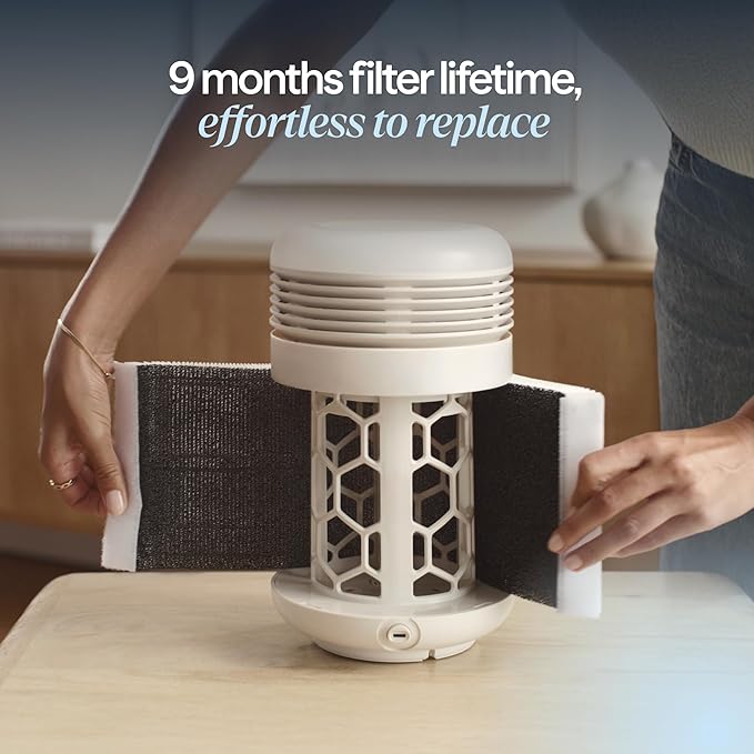 BLUEAIR Purifier for Bedroom - Mini Restful - Sunrise Clock with HEPASilent Filtration and Wake Up Light - Cleans Air and Supports Circadian Rhythm - USB-C and App Connectivity - Bloomnest