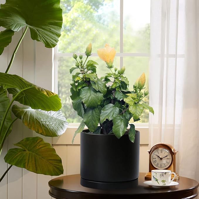 Aveyas 8 inch Ceramic Plant Pot with Drainage Hole and Saucer - Suitable for Indoor and Outdoor Use, Modern Planters for House Garden Flower Tree Snake Monstera Plants (8", Matte Black) - Bloomnest