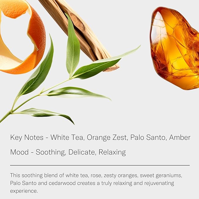 AromaTech White Tea Aroma Essential Oil Blend: Luxury Hotel Inspired Aromatherapy with White Tea, Orange & Palo Santo for Ultrasonic Diffusers & Nebulizers - 4 fl oz, 120 mL - Bloomnest