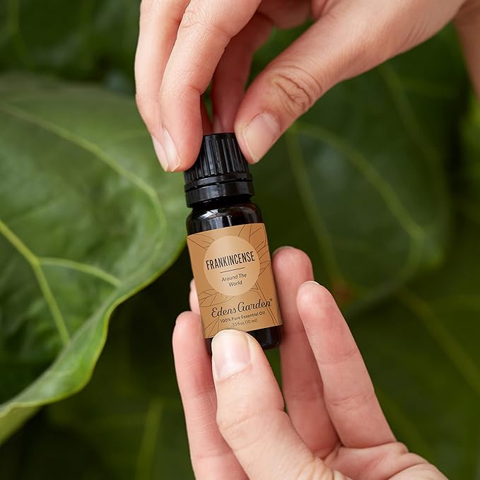Edens Garden Frankincense Around The World Essential Oil, 100% Pure Therapeutic Grade (Undiluted Natural/Homeopathic Aromatherapy Scented Essential Oil Singles) 30 ml - Bloomnest