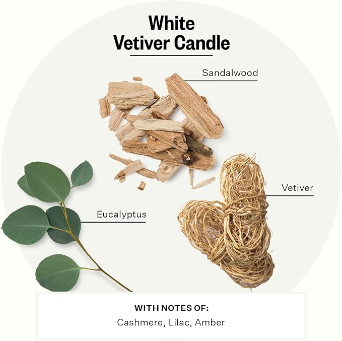 Apotheke Signature Scented Candles for Home, White Vetiver - 10.5 oz - Soy Wax, Non Toxic, Large Jar White - Luxury Candle Gifts for Women & Men - Sandalwood, Eucalyptus, and Vetiver - Bloomnest