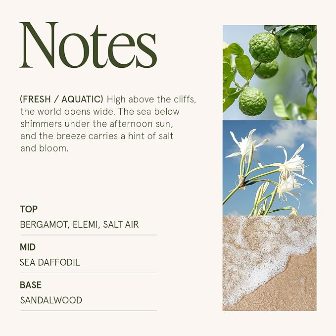 LA JOLIE MUSE Santorini Salt Air Candle - Bergamot, Sea Daffodil, Sandalwood | 6 oz Natural Soy Wax | 40 Hours Clean Burn | Ocean Scented Candle | Gift-Ready for Hosts & Gatherings - Bloomnest