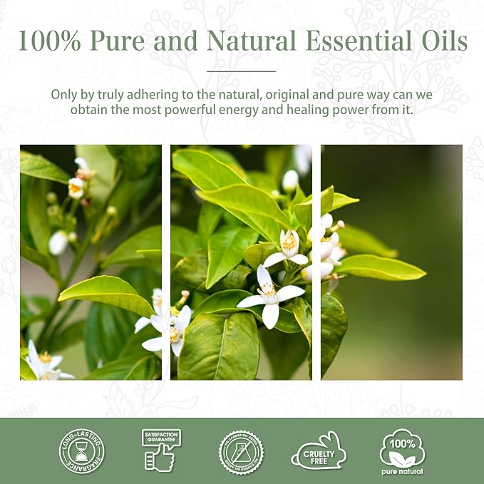 Neroli 1.01fl.oz Essential Oil, PHATOIL Pure Aromatherapy Oils for Diffuser, Humidifier, Perfect for DIY Soap, Candle, Bath Bombs Making(30ml) PHATOIL
