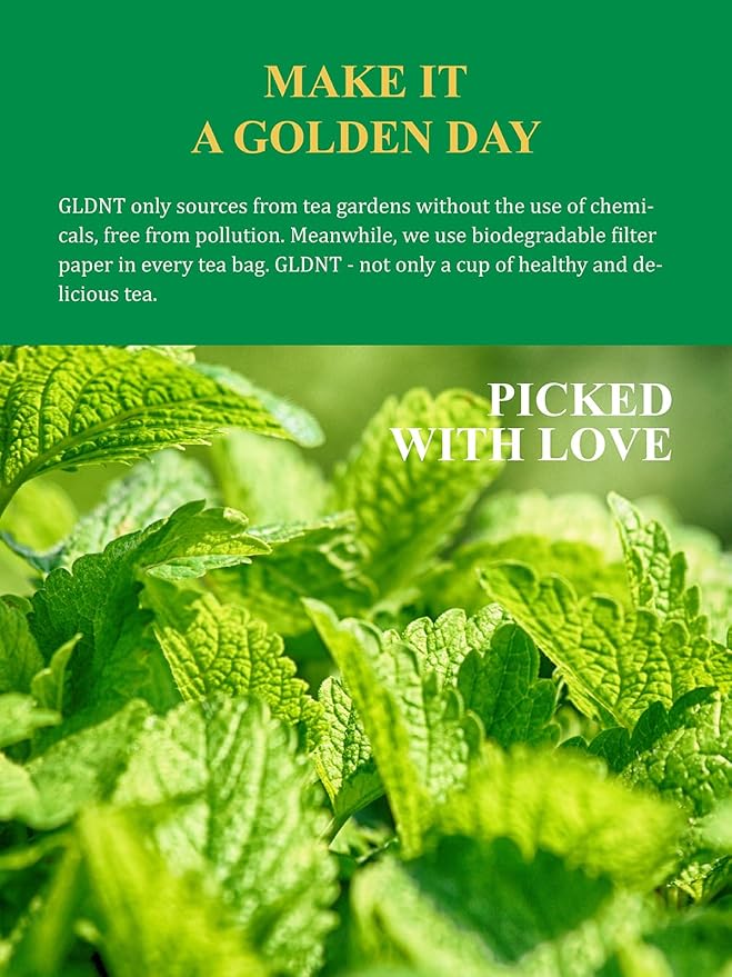 GLDNT Organic Lemon Balm Tea Bags, Natural Lemon Balm Herbal Tea, Lemony & Citrusy Flavor, Caffeine Free, 100 Count - Bloomnest