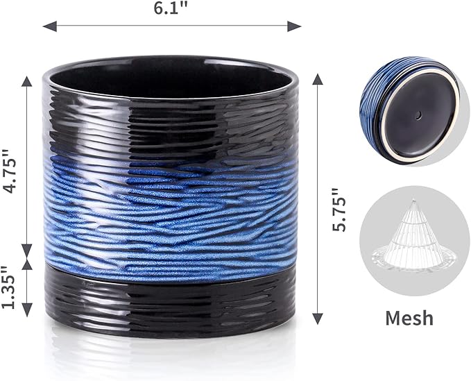 Nihow Ceramic Plant Pot: 6 Inch Planter with Drainage Hole & Saucer for Indoor & Outdoor Plants - Cylinder Round Flower Pot for Succulent/Herbs/Violets - Black & Vivid Blue - Bloomnest