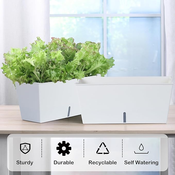 Window Box Planter 6 Pcs, 16.5 Inches Self Watering Rectangle Flower Plant Pots with Drainage Holes Trays, Vegetable Planters for Windowsill Patio Garden Balcony Porch Yard (White) - Bloomnest