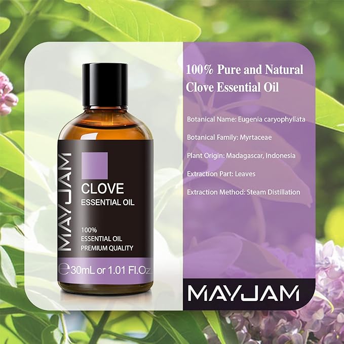 MAYJAM Clove Essential Oil, 1.01 FL.OZ Pure Essential Oils for Aromatherapy Diffuser, Great for DIY Candle and Soap Making(30ml) - Bloomnest