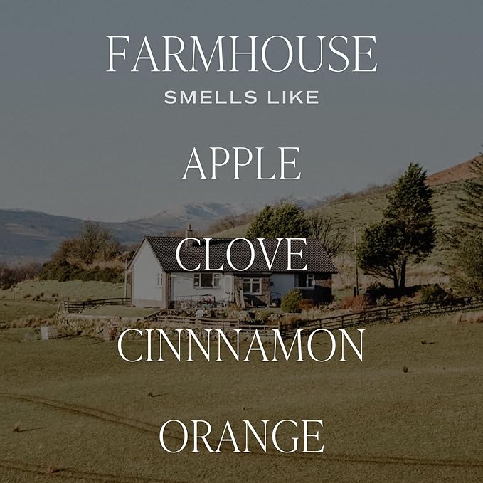 Sweet Water Decor Farmhouse Sandstone Reed Diffuser, Fall Scent with Pumpkin, Apple & Spices, Long-Lasting Non-Toxic Fragrance Oil for Living Room, Kitchen & Bathroom, Cozy Autumn Gift for Her - Bloomnest