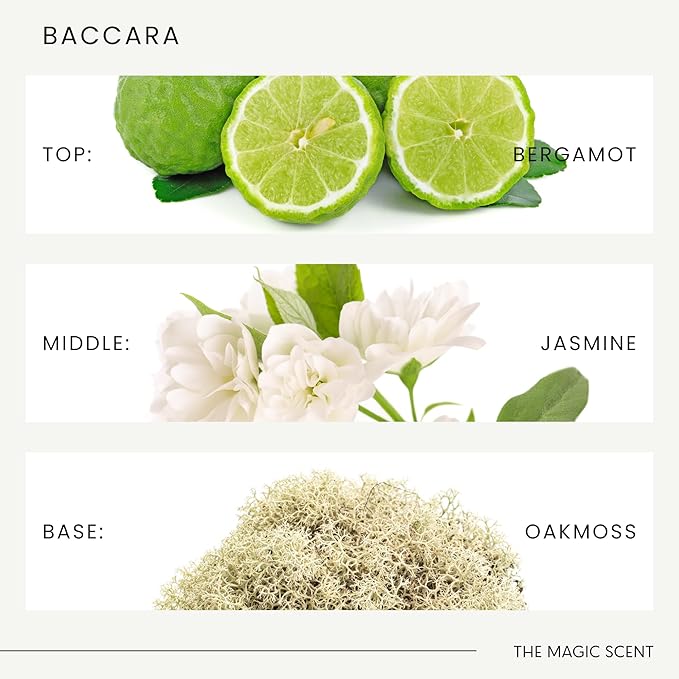 The Magic Scent Baccara Diffuser Oil - Hotel & Home Luxury Scents Inspired by Baccarat Rouge - Diffuser Oil Scents for Home Designed for Use in All Diffusers - 4 fl oz, 120 mL - Bloomnest