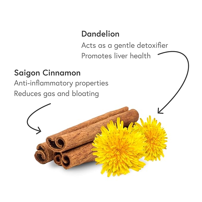 Fabula Herbal Tea: Digestive - 20 Sachets - Dandelion, Chicory, Burdock, Saigon Cinnamon, Eleuthero, Maca Powder - Bloomnest