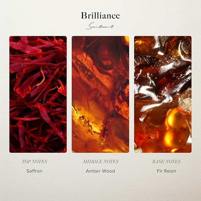Scentiment Designer Diffuser Oil Discovery Kit – Top 3 Luxury-Inspired Scents | Aromatherapy Fragrance Oils for Home & Office | Long-Lasting & Elegant Scent (3 x 20ml) - Bloomnest