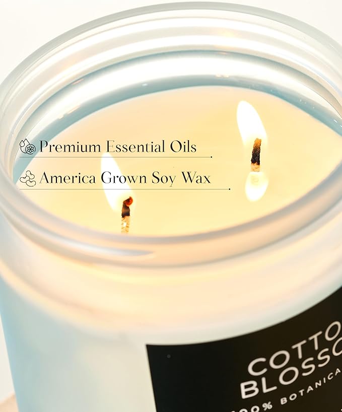 M&SENSE Clean Cotton Scented Candle - 11.6oz Natural Soy Wax Clean Cotton Blossom Scent Non Toxic Candle, 70-Hour Slow Burning 2-Wick Aromatherapy Home Fragrance Gifts for Home Decor - Bloomnest