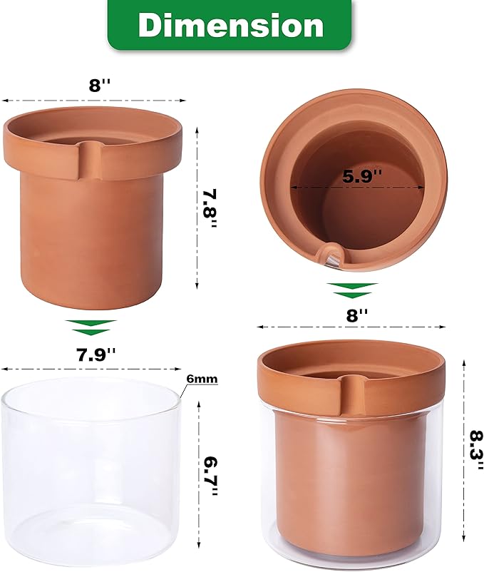 Phoenix Vine 8 Inch Self Watering Planter Pot, Terracotta Clay Pot with Glass Reservoir for Indoor Plants, Herbs, Flowers, Set of 1, 52-A-H-1 - Bloomnest