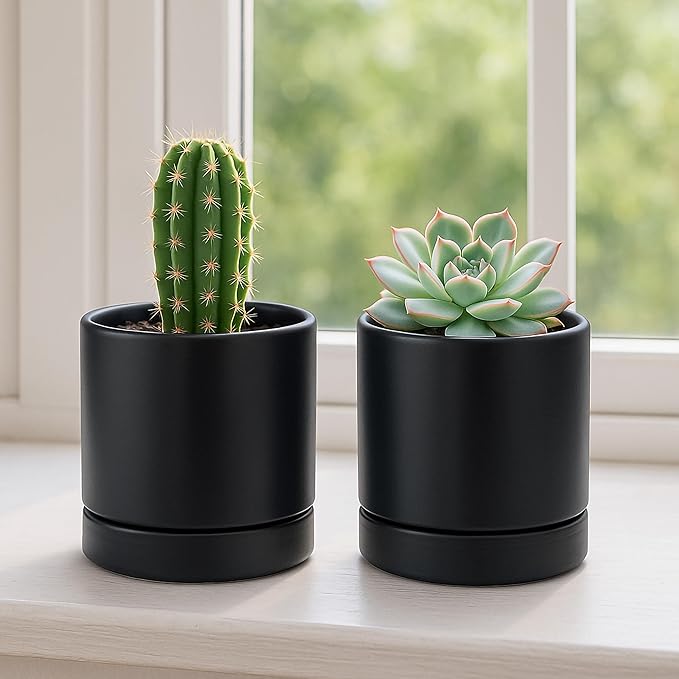 D'vine Dev Set of 2 Plants Pot, 4.7 Inch Ceramic Planter Pot for Plants with Drainage Hole and Saucer, Black, 94-V-B-2 - Bloomnest