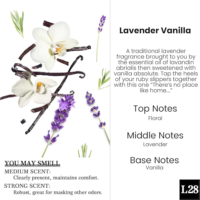 HoogaLife Car Air Freshener Diffuser 2 Pack Hanging Air Freshener Diffuser -Lavender Vanilla Fragrance Oil Air D iffuser for Car, 45+ days Long Lasting Fragrance Made in USA C ar Air Fresheners (L28) - Bloomnest