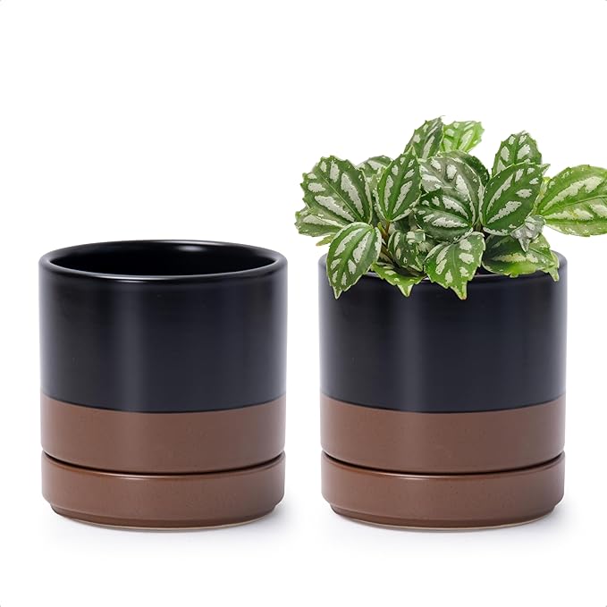 D'vine Dev Set of 2 Plants Pots, 4.7 Inch Ceramic Planter Pot for Plants with Drainage Hole and Saucer, Black/Speckled Tan, 94-V-B-7 - Bloomnest