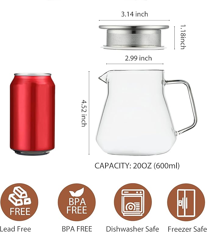 CNGLASS One-Touch Glass Teapot with Stainless Steel Filter Lid,20oz(600ml) Glear Tea Kettle Stovetop Safe,Borosilicate Glass Tea Pots for Loose Leaf Tea - Bloomnest