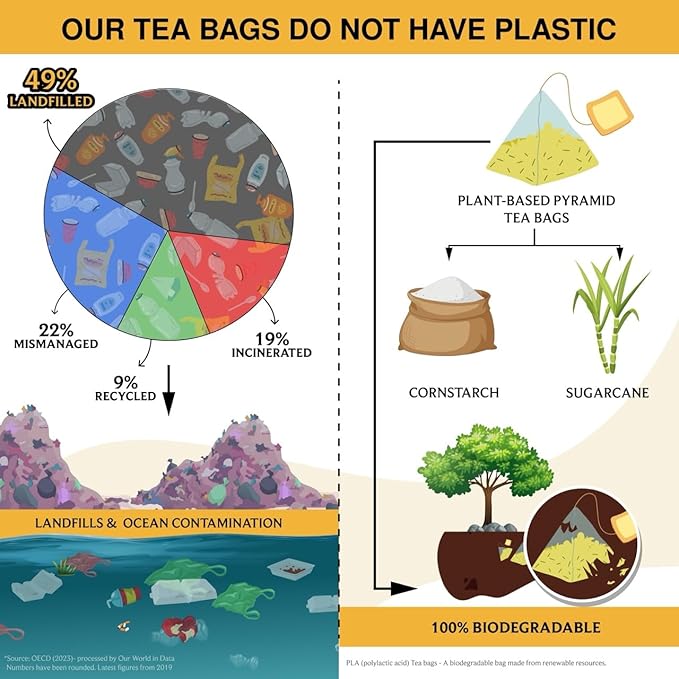 BREWIX, Turmeric Ginger Herbal Tea Bags (20 Pyramid Tea Bags) Real Ingredients From India, Naturally Caffeine Free | Pure Herbal Blend | Packed in Resealable Ziplock Pouch - Bloomnest