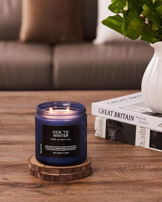 M&SENSE Ode to Winter 11.6oz Natural Soy Wax Non Toxic Candle, Up to 70 Hours Burn Time Winter Scents, 2 Cotton Wick Jar Candle Home Scented Gift - Bloomnest