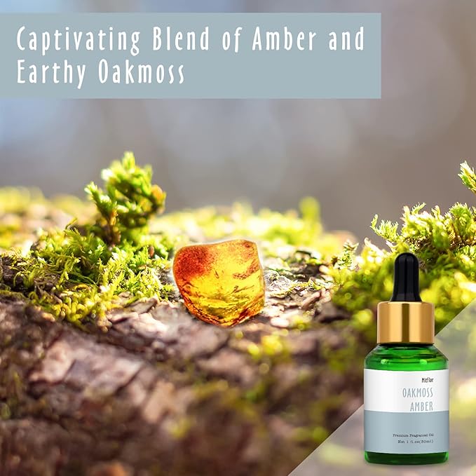 Oakmoss Amber Fragrance Oil, MitFlor Single Scented Oil, Large Size Premium Grade Fragrance Oil for Diffuser, Soap & Candle Making Scent, Aromatherapy Oil, Natural Woody Scent for Home Fragrance, 30ml - Bloomnest