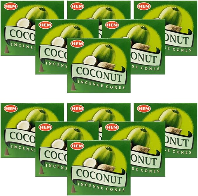 Coconut Incense Cones And Cone Incense Burner Bundle Insence Insense Hem Incense TRUMIRI