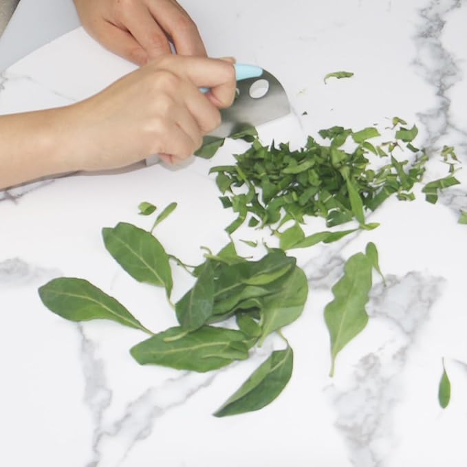Herb Stripper and Herb Cutter 2 in 1,Herb Stripping Tool Herb Chopper Cilantro Chopper Best Kitchen Gadgets Presents for RV Owners Campers Chefs and Cooking Lovers,1PCS,Blue,Stainless Steel - Bloomnest