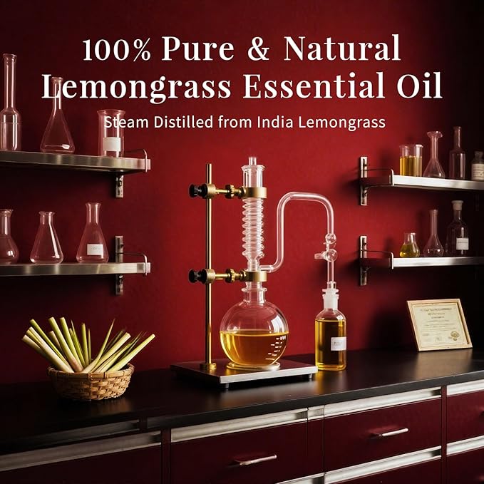 SU JUABA Lemongrass Essential Oil 4 Oz, 100% Pure Natural Aromatherapy Oil for Diffuser, Skin Care, Candle - 118ML Bloomnest