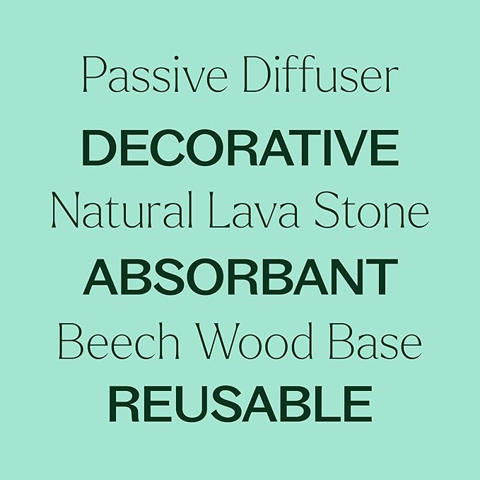 Plant Therapy Lava Rock Passive Diffuser for Essential Oils Great for Decorating at Home, Office or Car, and Gift-Giving - Bloomnest