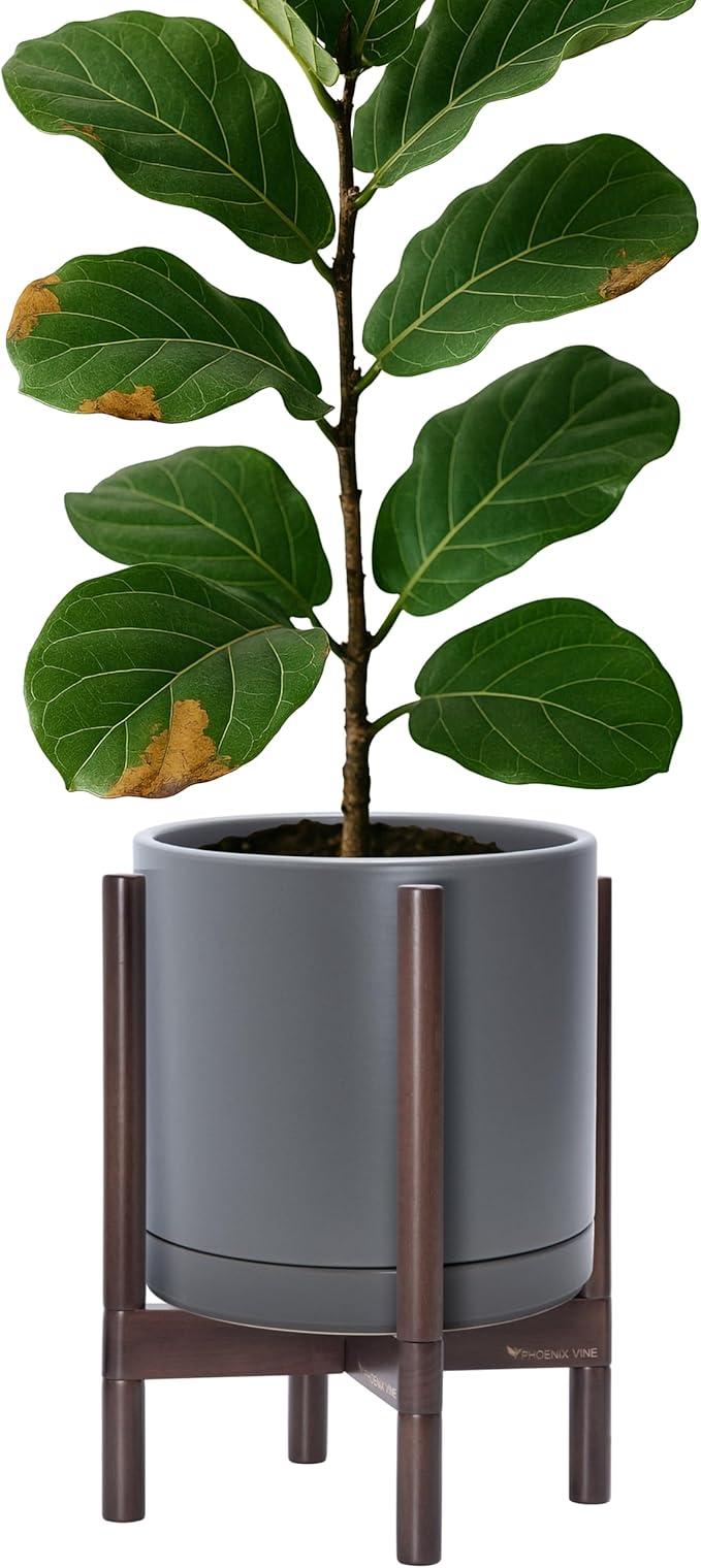 D'vine Dev Ceramic Planter with Walnut Color Stand - 12 Inch Modern Round Flower Pot with Wood Planter Holder, Grey, 55-B-W-3 - Bloomnest