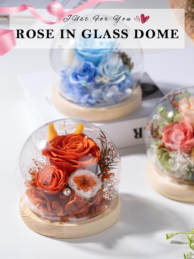 FIACO Preserved Rose Birthday Gift for Women Forever Fresh Flowers for Prime Delivery Gift for Mom Grandma Wife Valentines Mothers Day Christmas Anniversary Eternal Roses in Glass Dome - Bloomnest