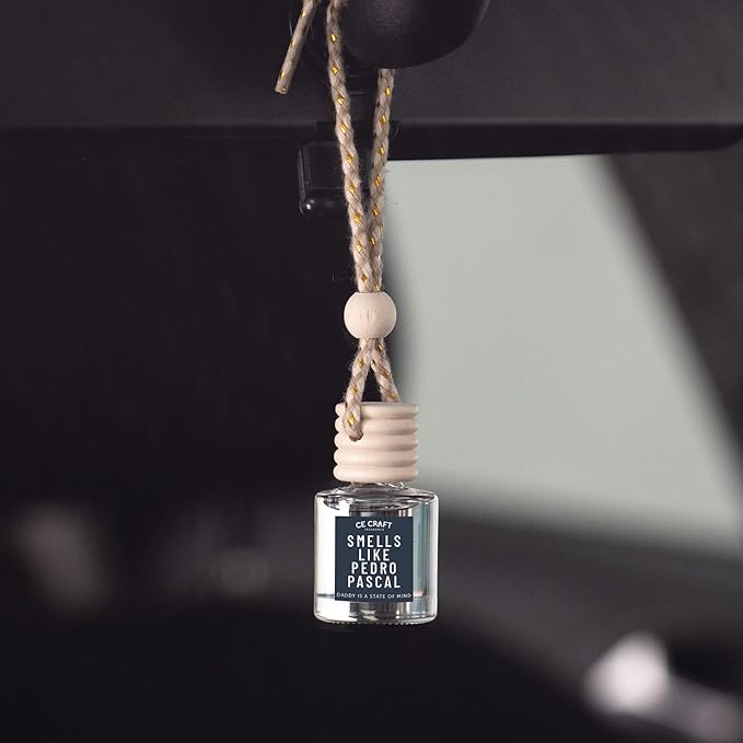 CANDECraftCo Car Air Hanging Fragrance Oil, Car Auto Freshener for Essential Oils, Scents Fragrance Aromatherapy Automobile Diffuser, Long Lasting (Smells Like Pedro Pascal) - Bloomnest