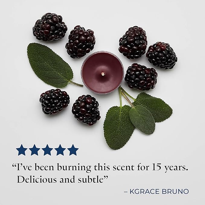 PartyLite Gift Set of 12 Universal Tea Lights, Mulberry Scented, Notes of Black Currant, Sweet BlackBerry, Juicy Mulberry & Pomegranate, 4-6 Hour Burn Time, Luxurious & Rich, Perfect for Gifting - Bloomnest