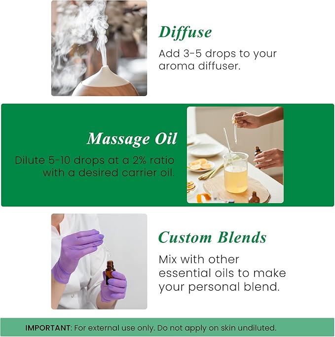 Handcraft Blends Organic Rosemary Essential Oil – 1 Fl Oz – 100% Pure and Natural – Premium Grade Essential Oil for Diffuser and Aromatherapy HandcraftBlends