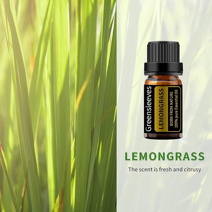 GREENSLEEVES Vetiver and Lemongrass Essential Oil Set, 2 x 10ml Pure Plant-Based Fragrance Oil for Aromatherapy, Essential Oils for Diffuser, Massage, Bath Bomb, Scented Candle Soap Making GREENSLEEVES