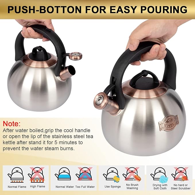 3.1 Quart Teal Whistling Tea Kettle for Stove Top, Food Grade Stainless Steel - Bloomnest