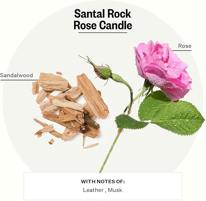 Apotheke Signature Scented Candles for Home, Santal Rock Rose - 10.5 oz - Soy Wax, Non Toxic, Large Jar White - Luxury Candle Gifts for Women & Men - Sandalwood, Rose, Musk, and Leather - Bloomnest