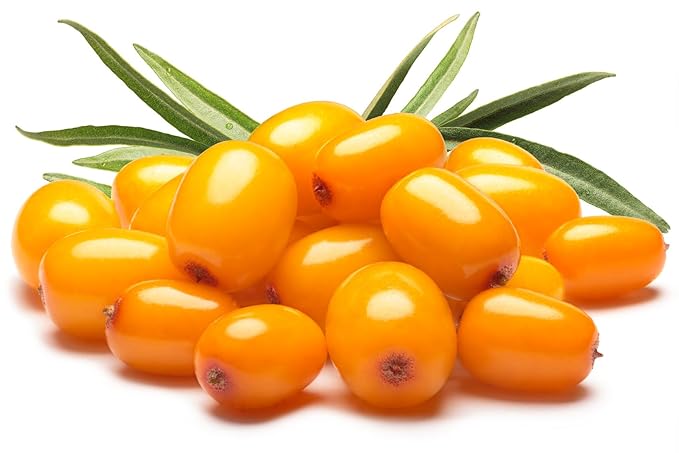 US Organic Sea Buckthorn Berry (Fruit) Oil, Supercritical CO2 extracted, USDA Certified Organic,100% Pure Virgin, Unrefined in Amber Glass Bottle, Face, Hair, spot Treatment, Anti Aging, 1 oz (30 ml) - Bloomnest