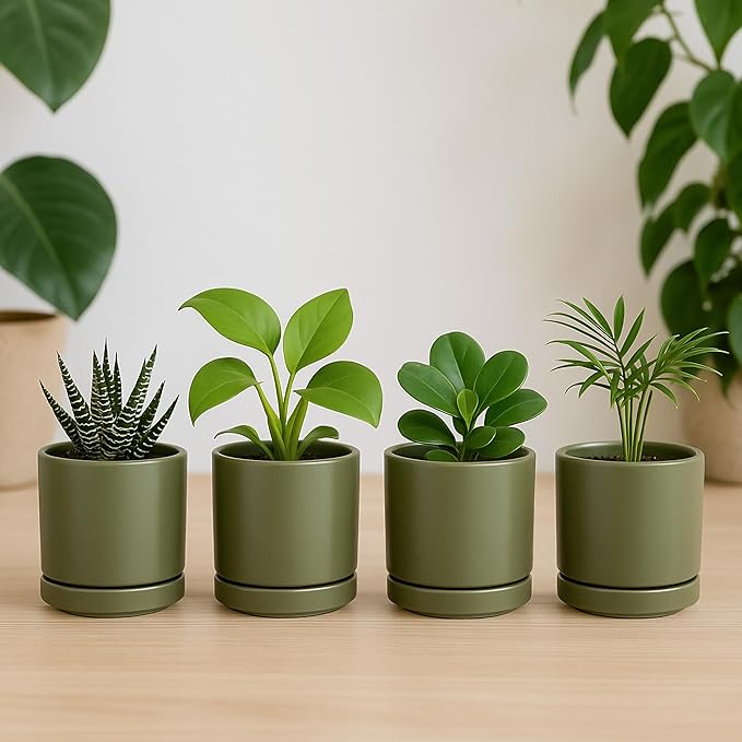 D'vine Dev Set of 4 Small Ceramic Plant Pots, 3.5 Inch Succulent Planter Pot for Plants with Drainage Hole and Saucer, Olive, 94-X-A-0 - Bloomnest