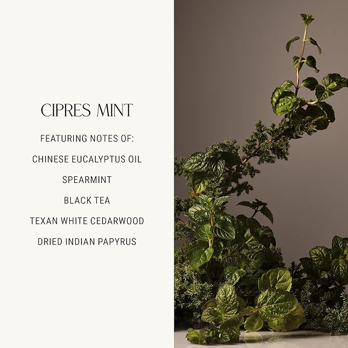 Homecourt Luxury Scented Candle, 60-Hour Burn Time, Soy Wax Blend & Organic Cotton Wick, Kiln-Fired Reusable Ceramic Vessel, Cipres Mint, 8 oz - Bloomnest