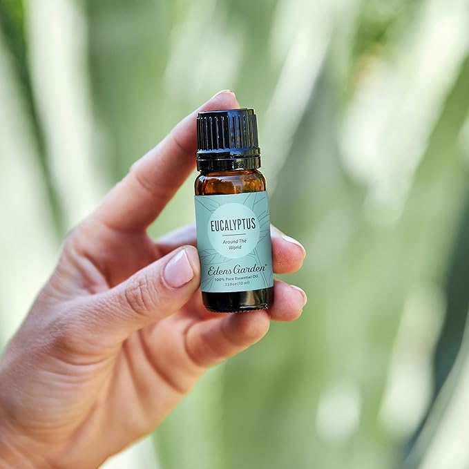 Edens Garden Eucalyptus Around The World Essential Oil- 100% Pure Premium Grade, Undiluted, Natural, Therapeutic, Aromatherapy, The Best for Diffuser, Candle, Laundry, Humidifiers 118 ml (4 fl oz) - Bloomnest